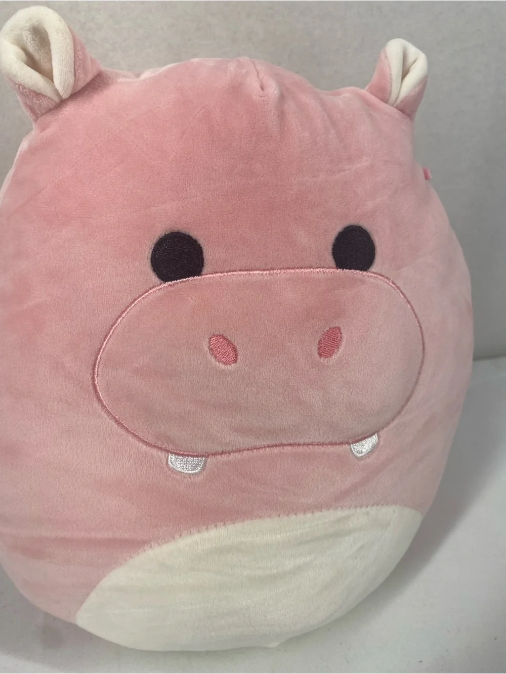 Squishmallows adorable hippo